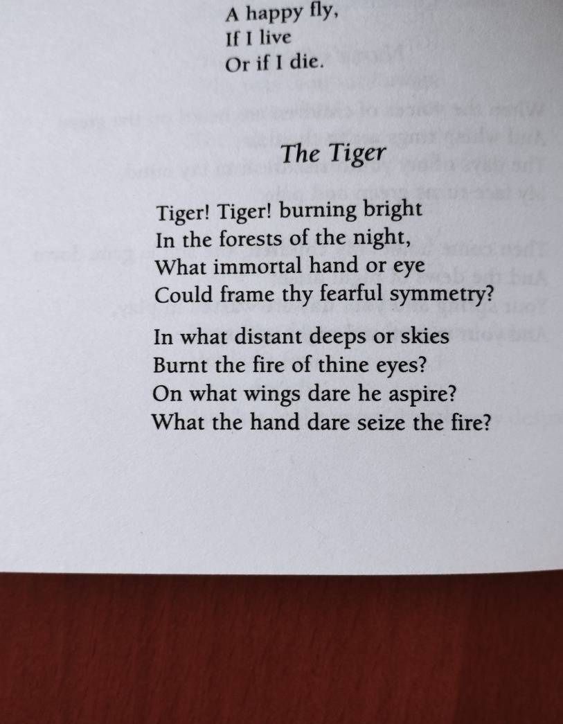 Блейк Уильям: Selected Poems