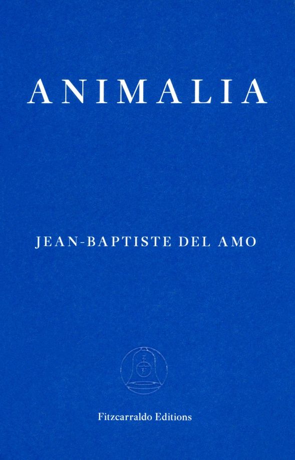 Amo Del: Animalia