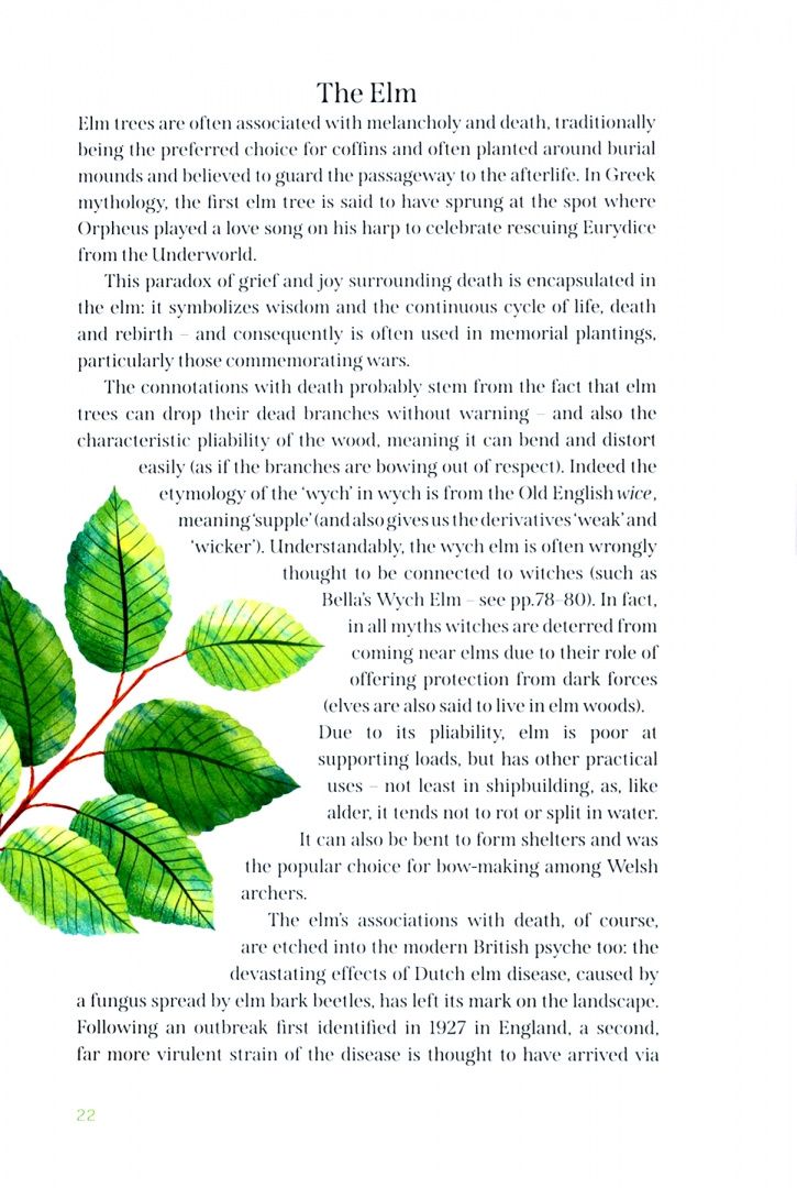 Mark Hooper: The Great British Tree Biography. 50 legendary trees and the tales behind them