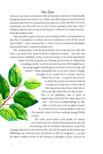 Mark Hooper: The Great British Tree Biography. 50 legendary trees and the tales behind them