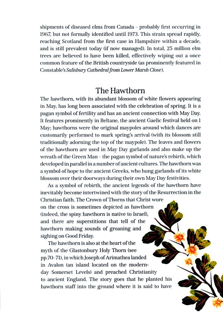 Mark Hooper: The Great British Tree Biography. 50 legendary trees and the tales behind them