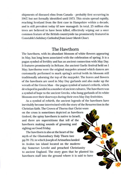 Mark Hooper: The Great British Tree Biography. 50 legendary trees and the tales behind them