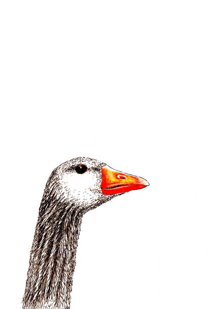 Anna Koska: From Field & Forest. An artist's year in paint and pen