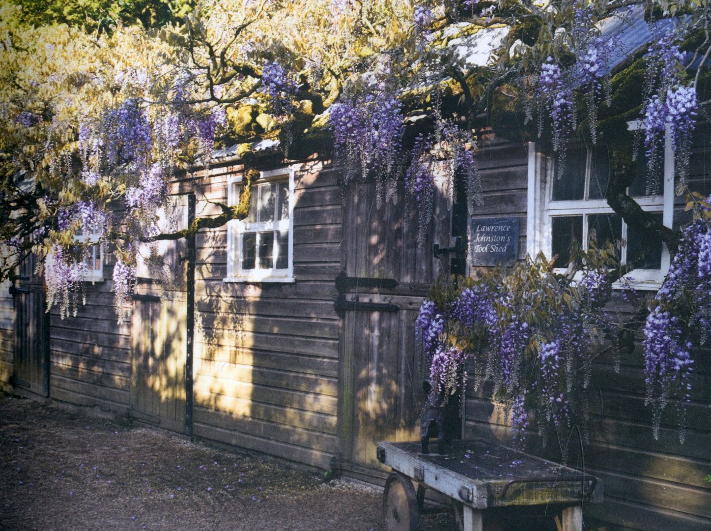 Anna Groves: Shed Heaven