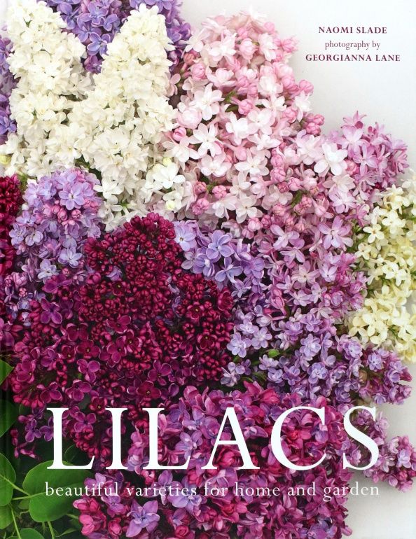 Naomi Slade: Lilacs. Beautiful varieties for home and garden