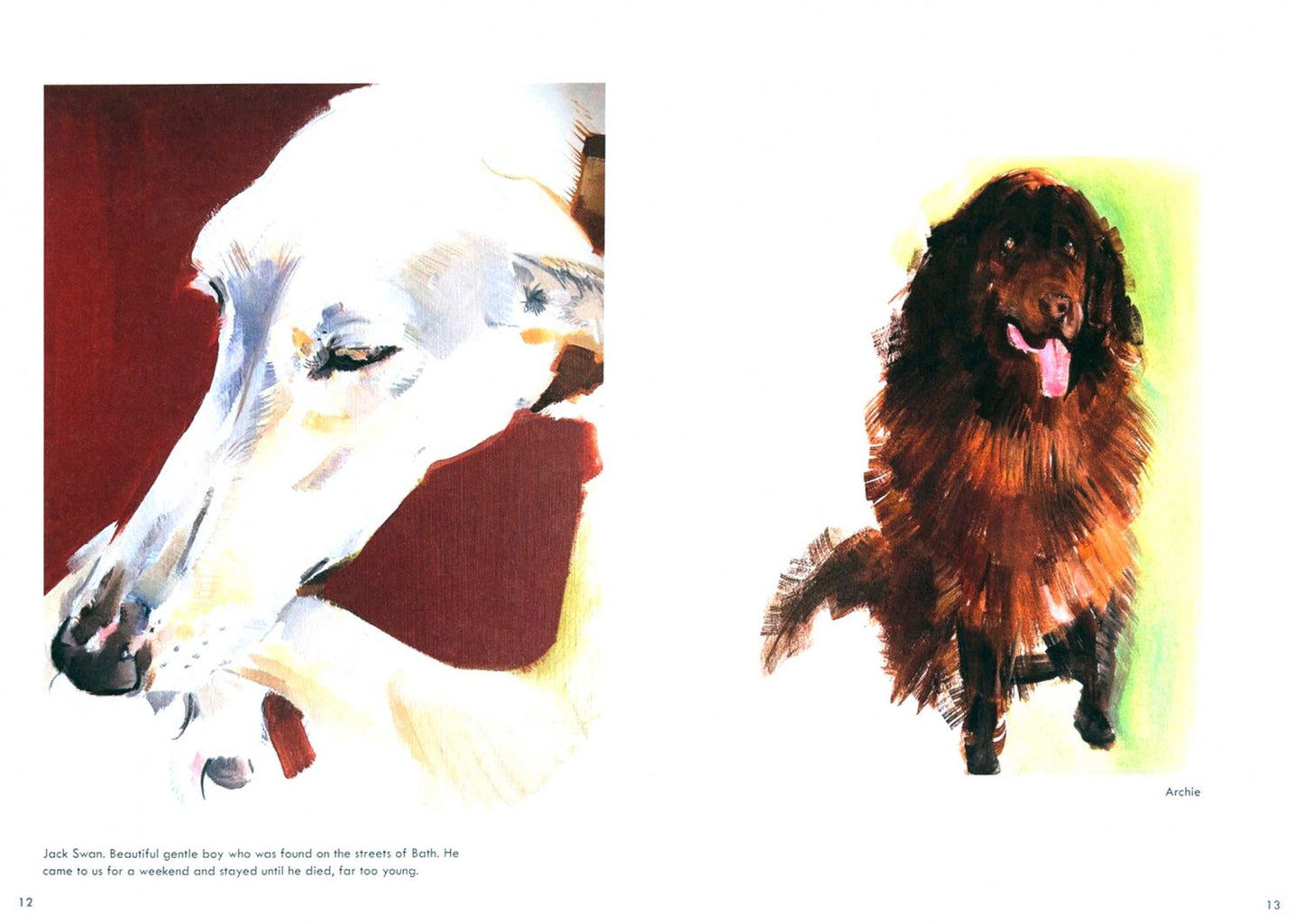 Sally Muir: Rescue Dogs