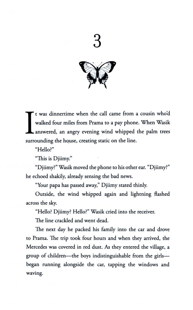 Bernice McFadden: Praise Song for the Butterflies