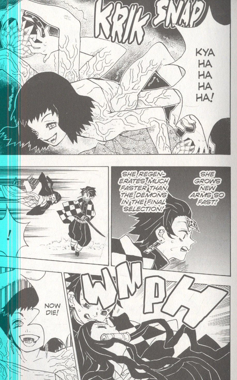 Коехару Готогэ: Demon Slayer: Kimetsu no Yaiba, Vol. 3