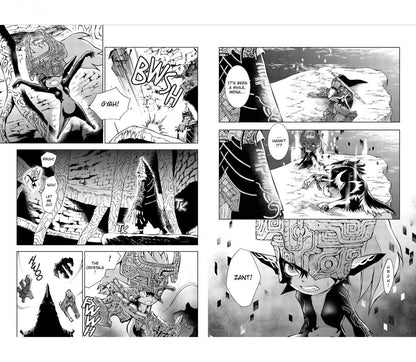 Akira Himekawa: The Legend of Zelda. Twilight Princess. Volume 5