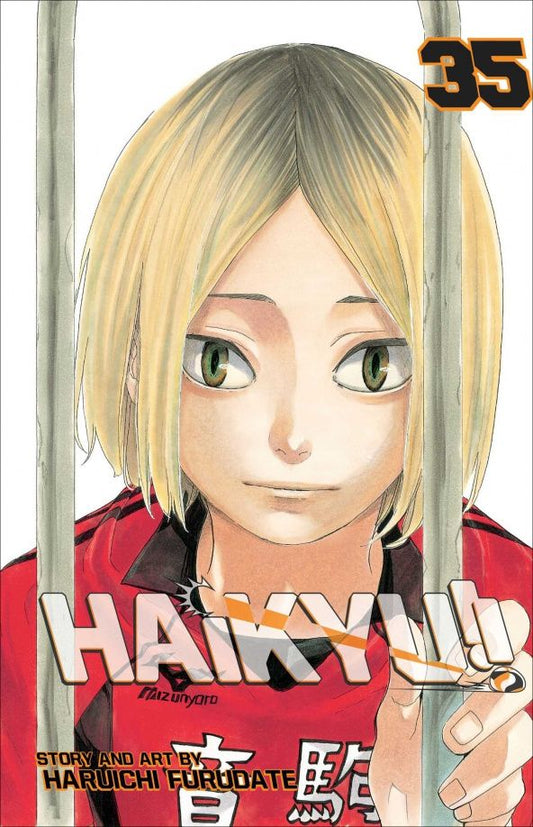 Haruichi Furudate: Haikyu!! Volume 35