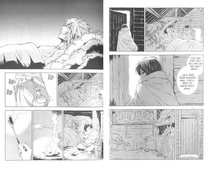Akira Himekawa: The Legend of Zelda. Twilight Princess. Volume 7