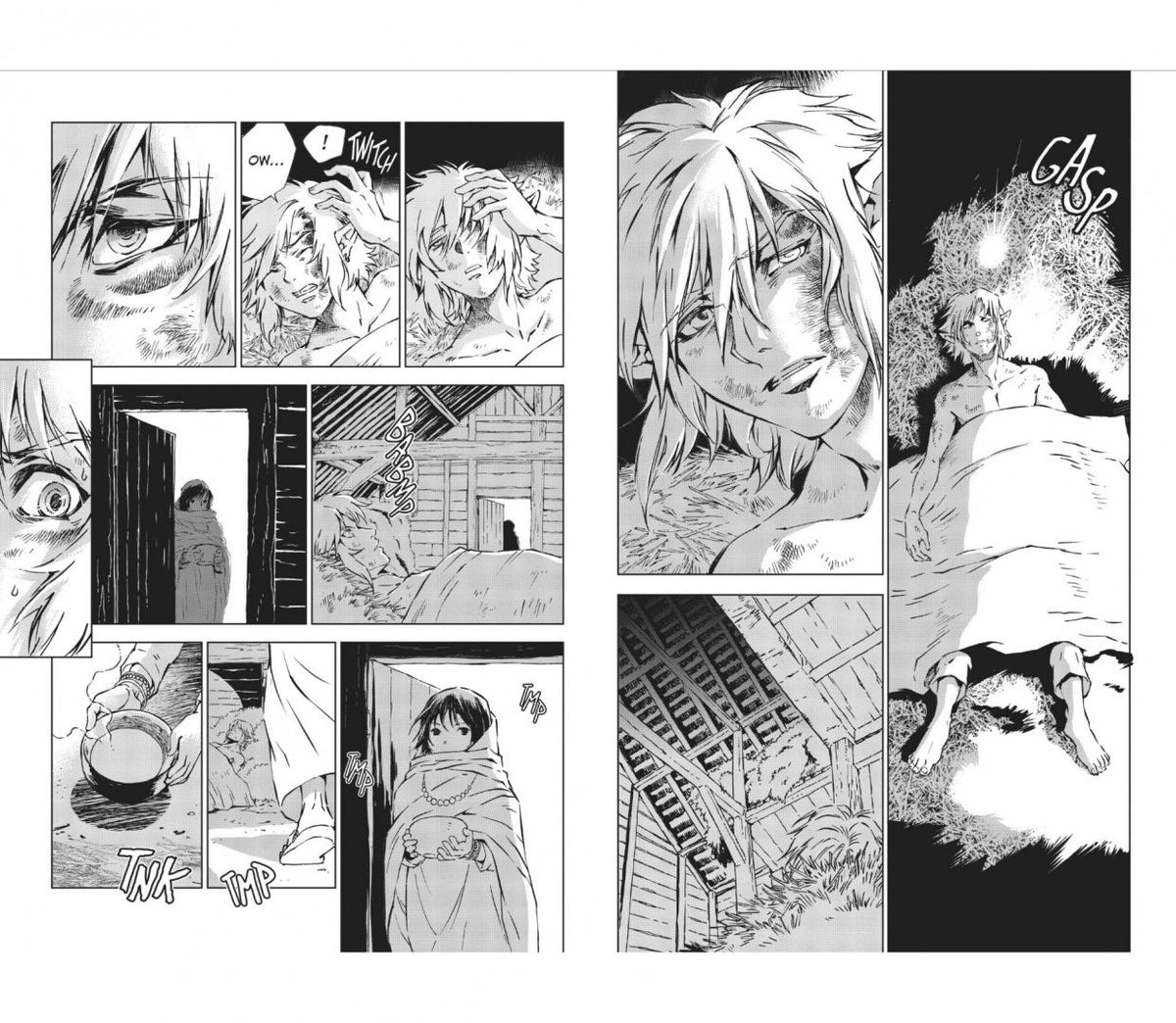 Akira Himekawa: The Legend of Zelda. Twilight Princess. Volume 7