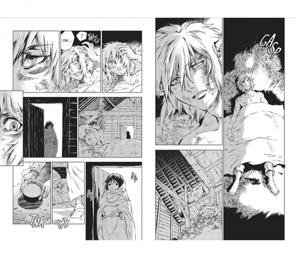 Akira Himekawa: The Legend of Zelda. Twilight Princess. Volume 7