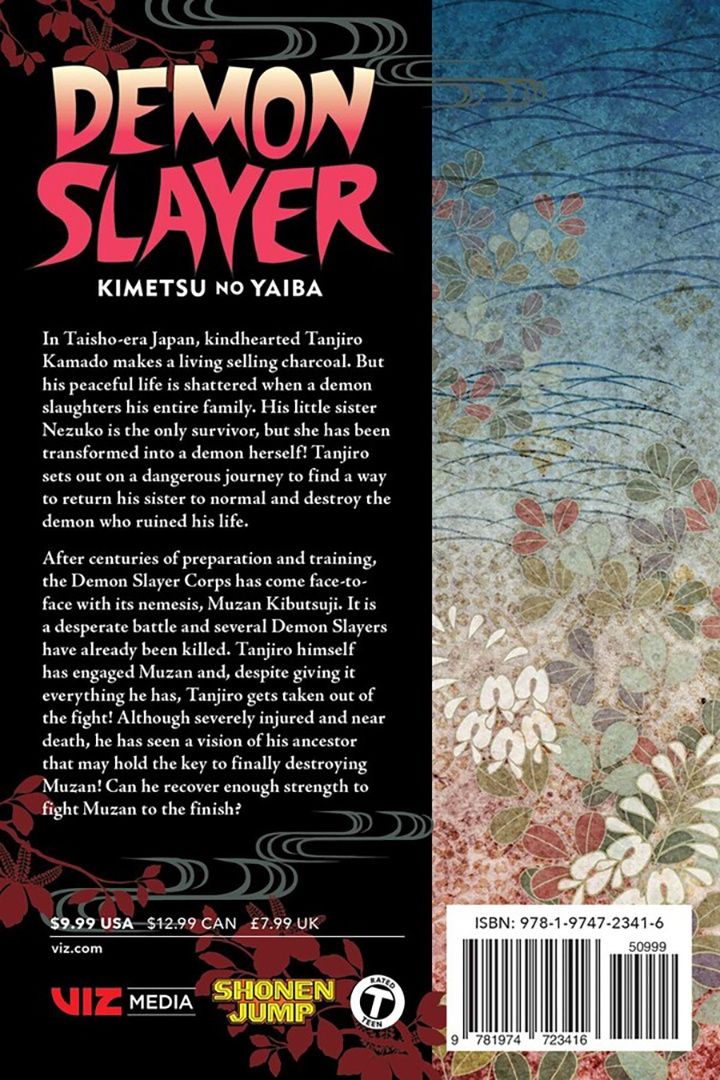 Demon Slayer. Kimetsu no Yaiba. Volume 22