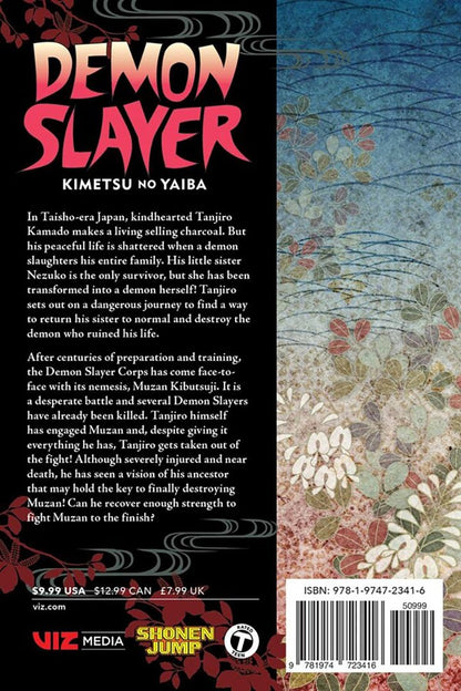 Demon Slayer. Kimetsu no Yaiba. Volume 22