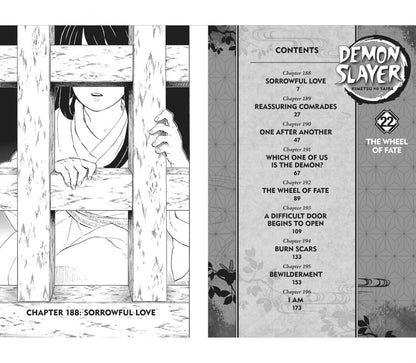 Koyoharu Gotouge: Demon Slayer. Kimetsu no Yaiba. Volume 22