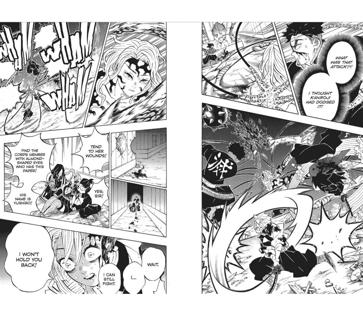 Koyoharu Gotouge: Demon Slayer. Kimetsu no Yaiba. Volume 22