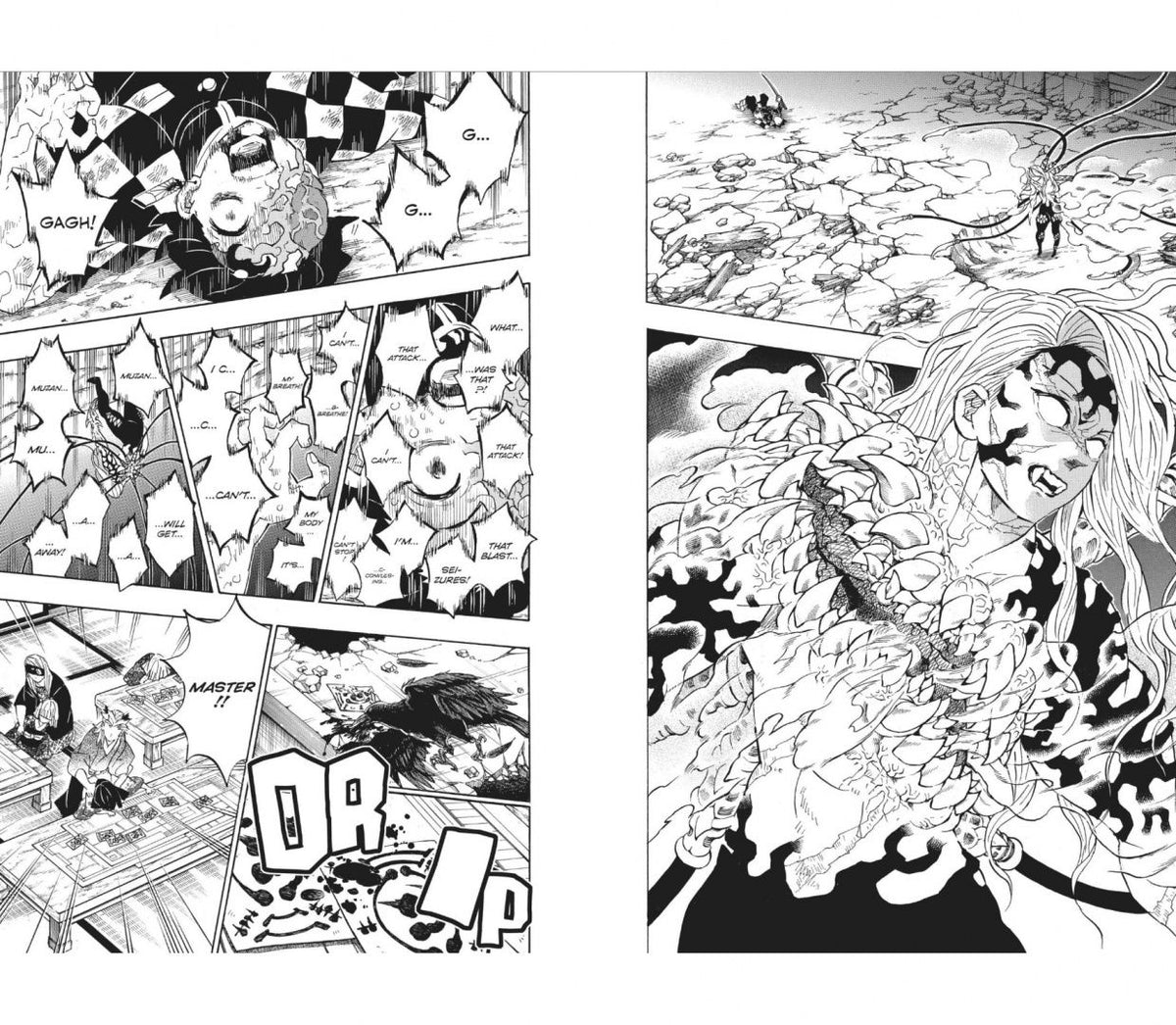 Koyoharu Gotouge: Demon Slayer: Kimetsu no Yaiba. Volume 23