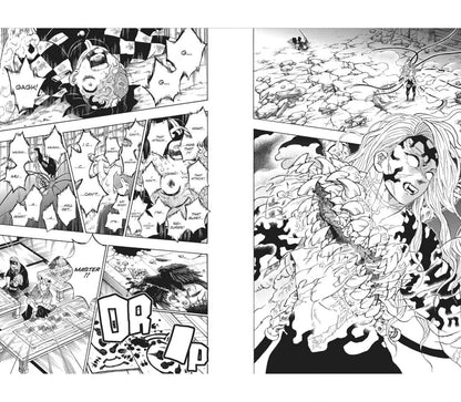 Koyoharu Gotouge: Demon Slayer: Kimetsu no Yaiba. Volume 23