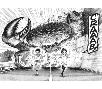 Yukinobu Tatsu: Dandadan. Volume 2