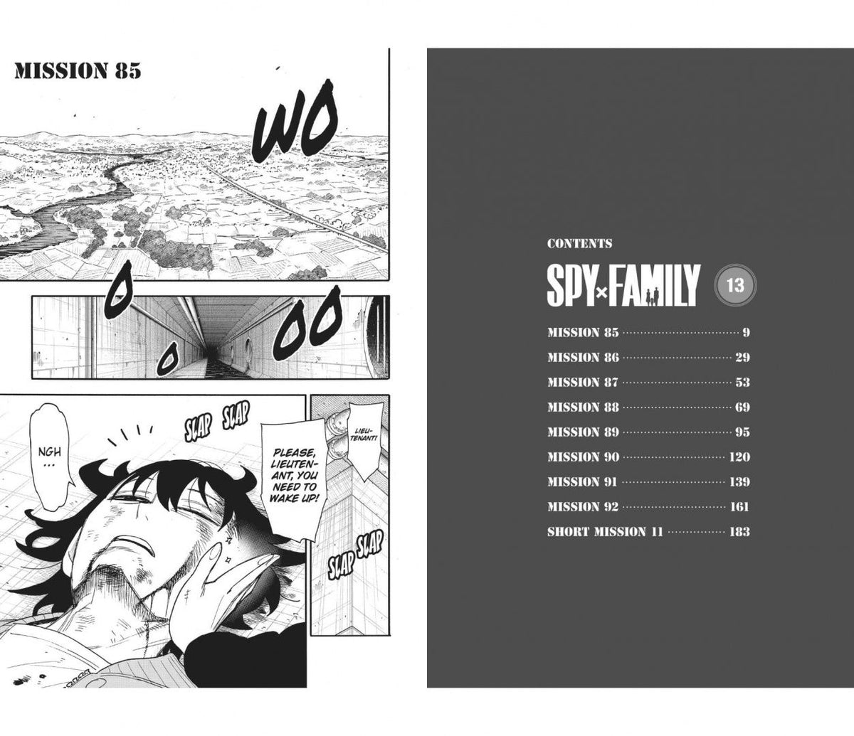 Tatsuya Endo: Spy X Family. Volume 13