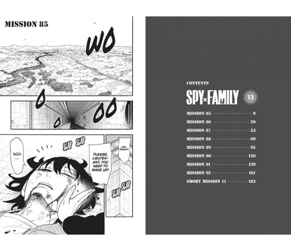 Tatsuya Endo: Spy X Family. Volume 13