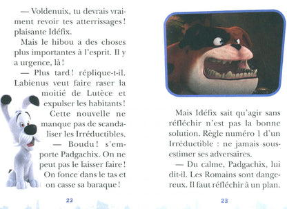 Catherine Kalengula: Idéfix et les Irréductibles. 03. Voldenuix ramène sa fiole