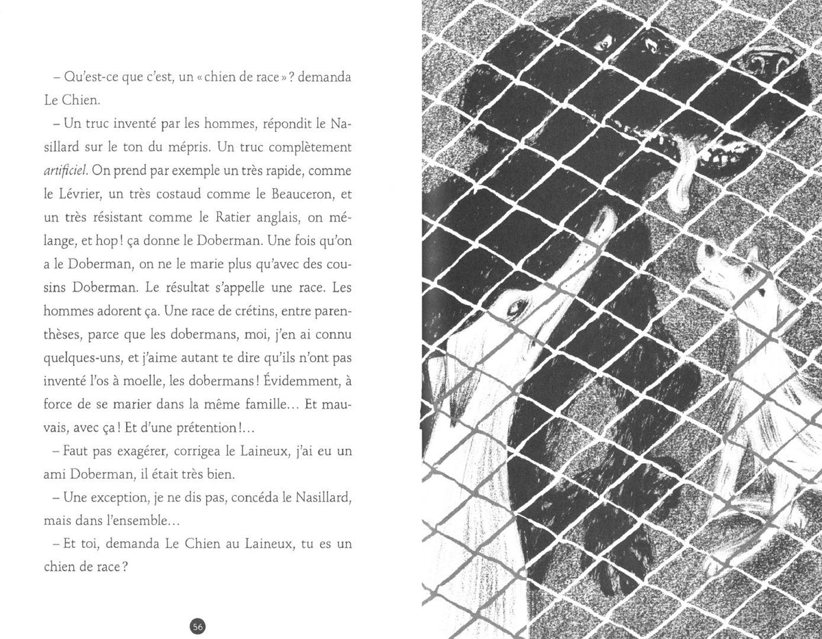 Daniel Pennac: Cabot Caboche