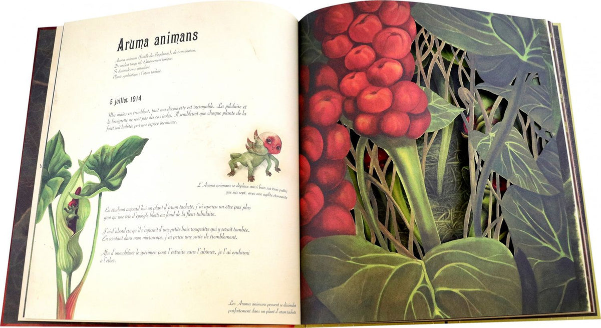 Бенжамен Лакомб: L'Herbier des fées