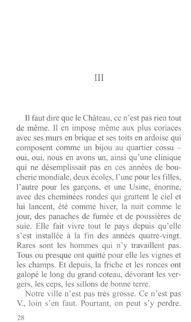 Philippe Claudel: Les Âmes grises