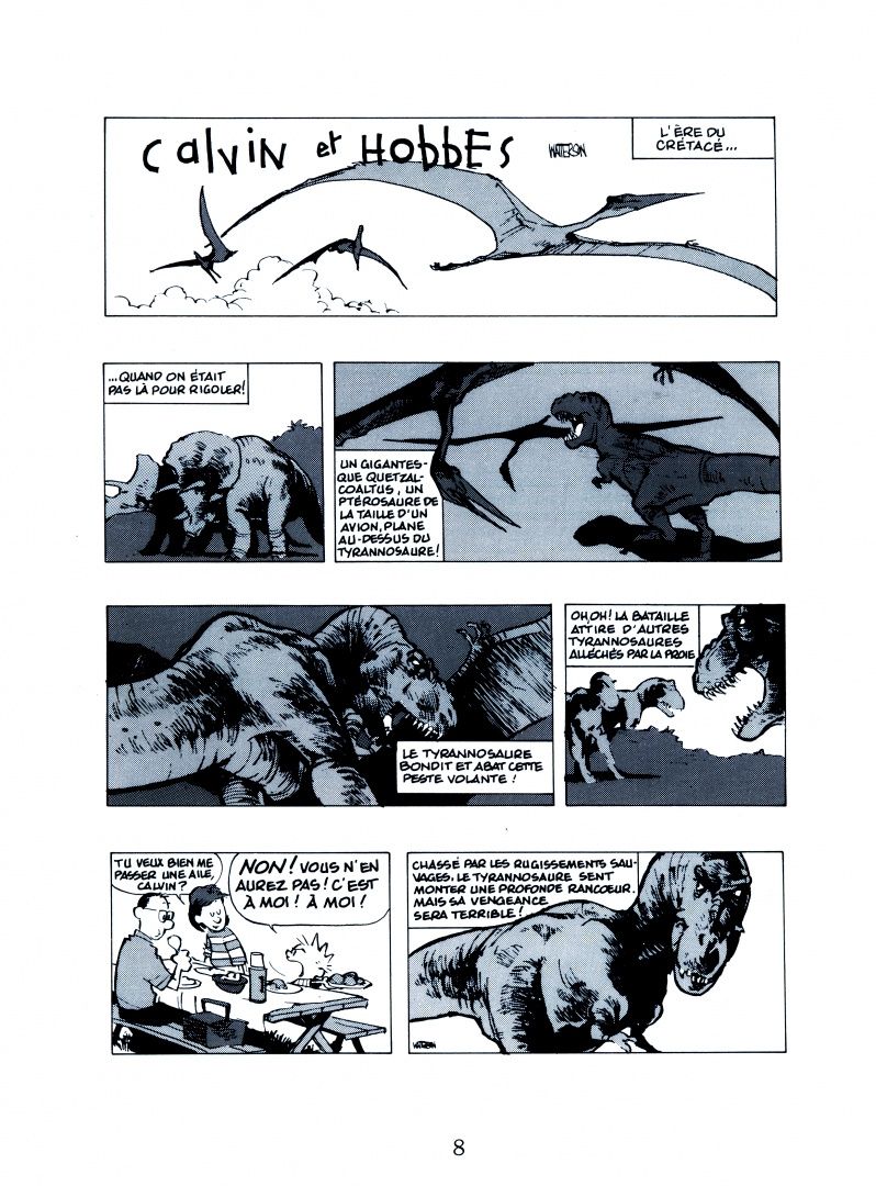 Bill Watterson: Calvin et Hobbes. Tome 13. Enfin seuls !