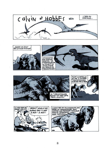 Bill Watterson: Calvin et Hobbes. Tome 13. Enfin seuls !