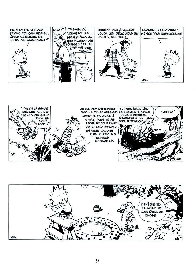 Bill Watterson: Calvin et Hobbes. Tome 13. Enfin seuls !