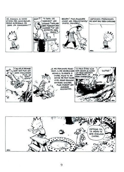 Bill Watterson: Calvin et Hobbes. Tome 13. Enfin seuls !
