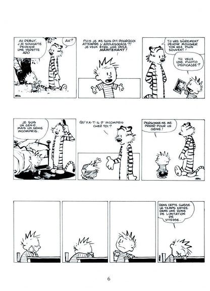 Bill Watterson: Calvin et Hobbes. Tome 20. Il y a des tresors partout!
