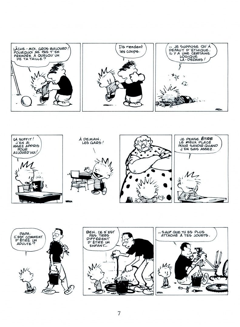 Bill Watterson: Calvin et Hobbes. Tome 20. Il y a des tresors partout!