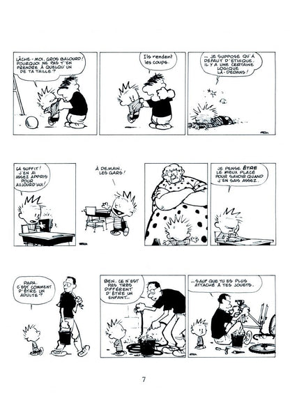 Bill Watterson: Calvin et Hobbes. Tome 20. Il y a des tresors partout!