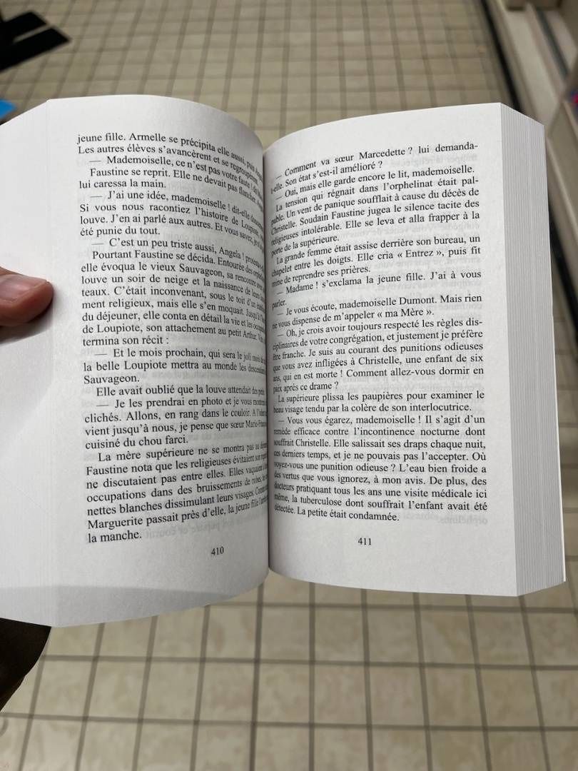 Marie-Bernadette Dupuy: Les Tristes Noces