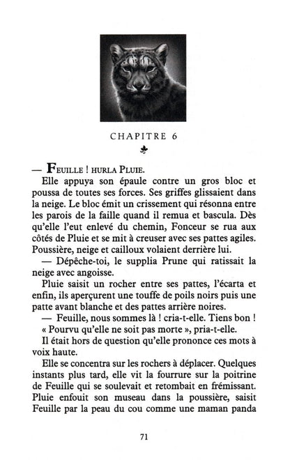 Хантер Эрин: Les Messagers du Dragon. Tome 2. Une rivière de secrets