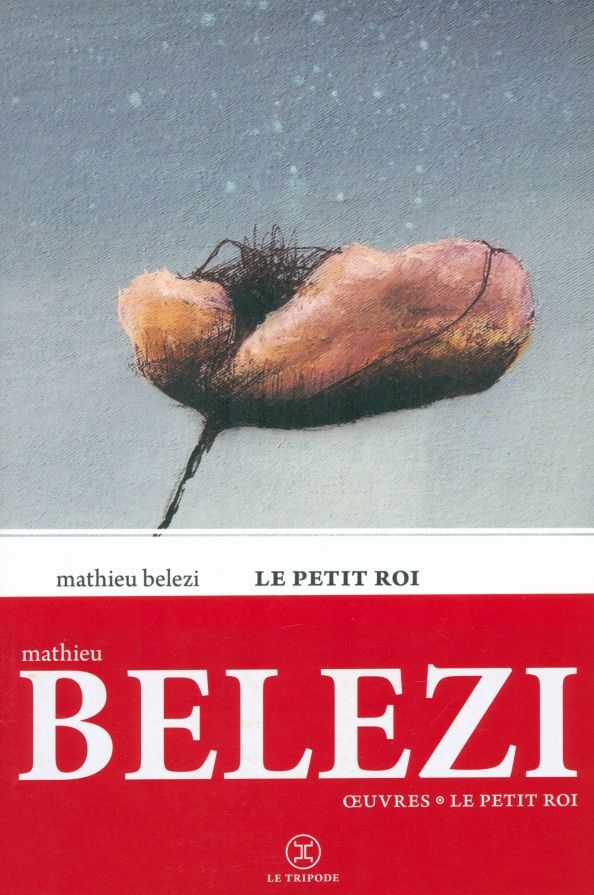 Mathieu Belezi: Le Petit Roi