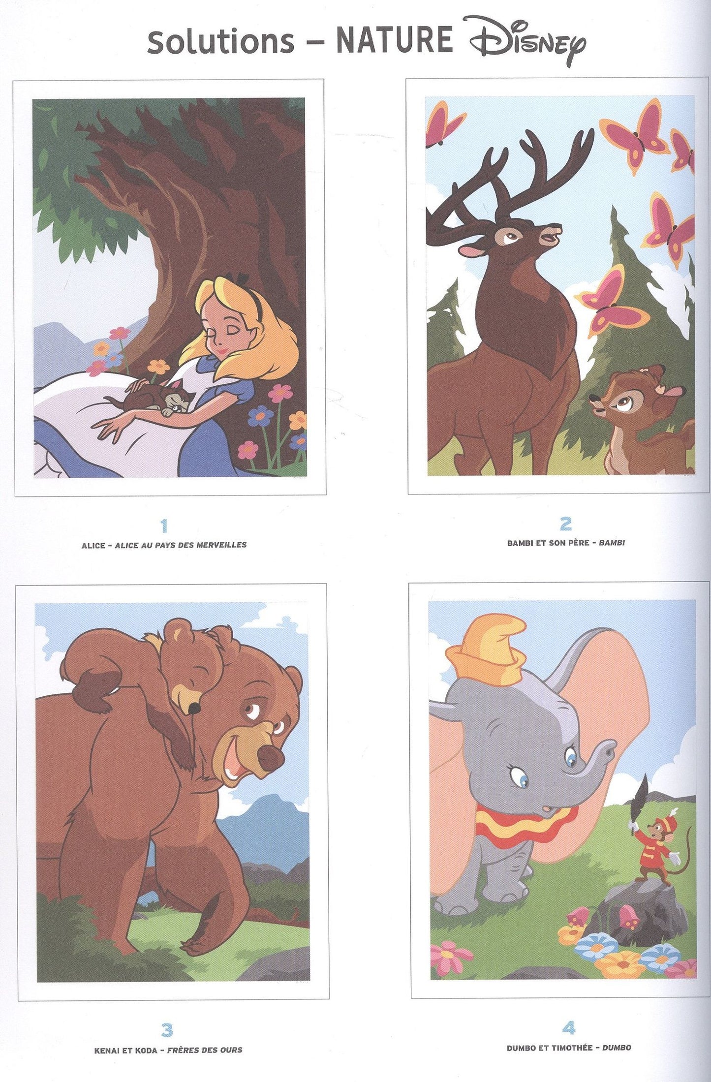 Coloriages mysteres Disney NATURE