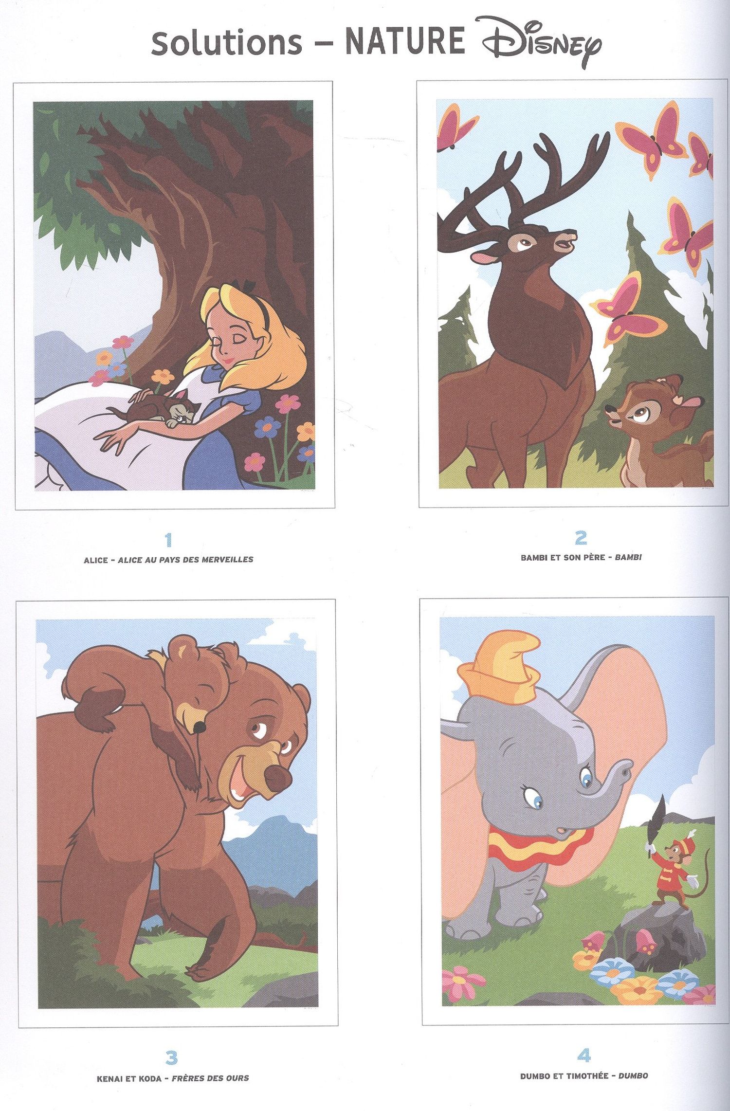 Coloriages mysteres Disney NATURE
