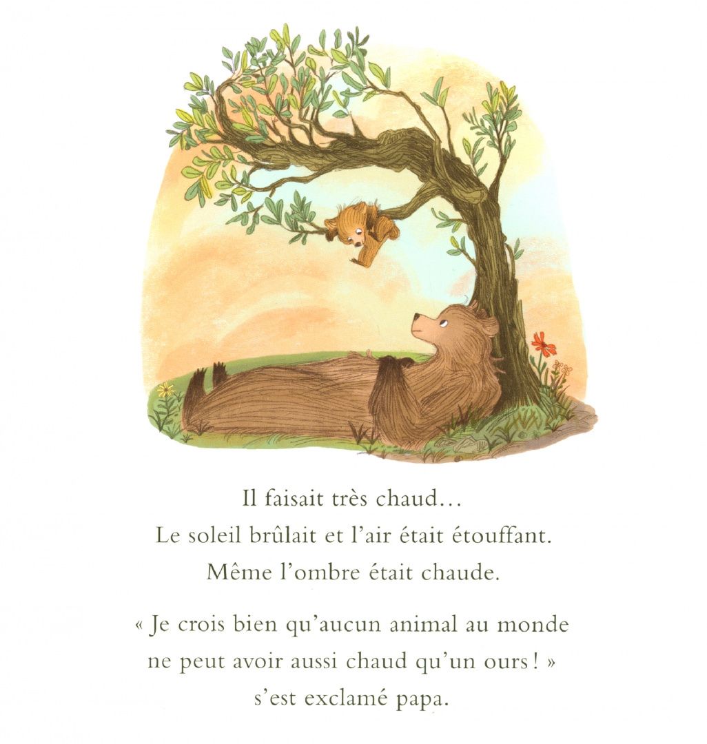 Sean Taylor: Mon tout petit ours
