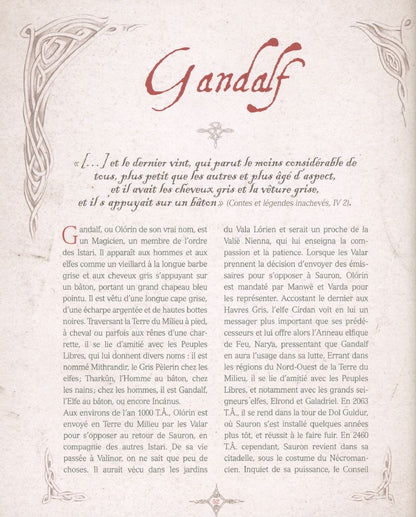 Damien Bador: La grande encyclopédie du Hobbit