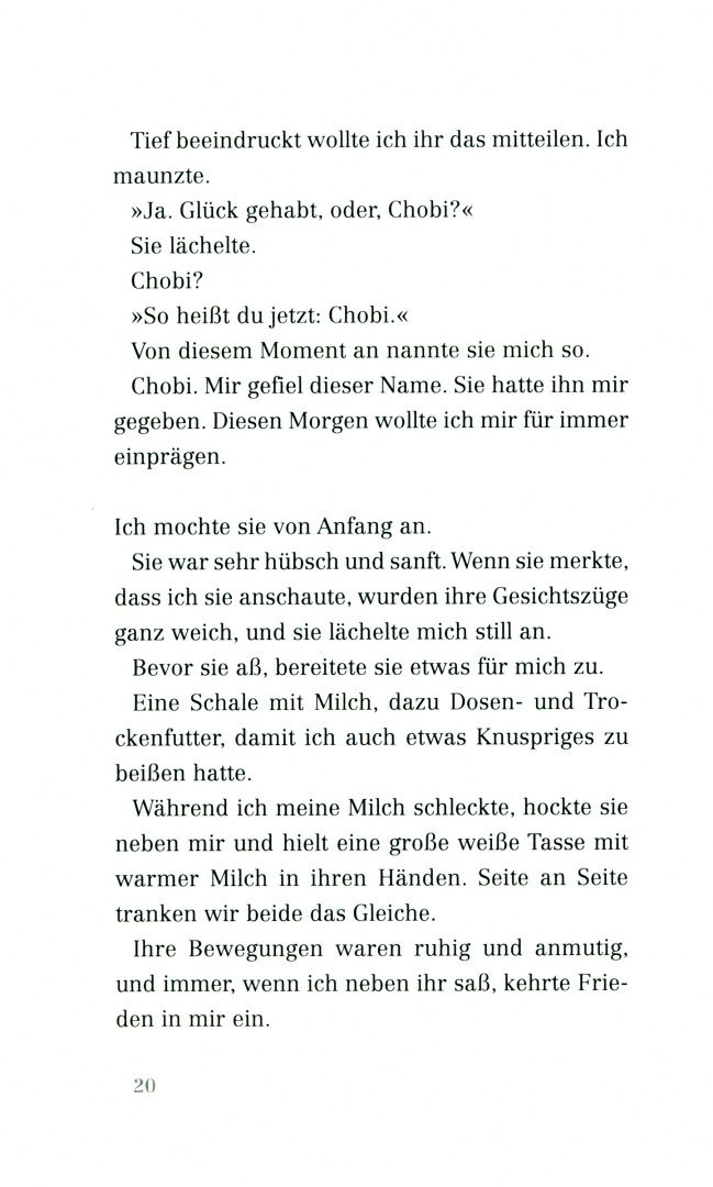 Наруки Нагакава: Das Geschenk eines Regentages