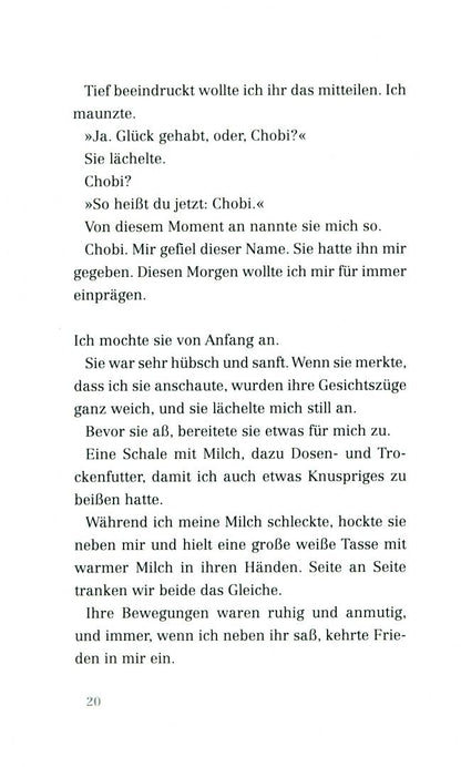 Наруки Нагакава: Das Geschenk eines Regentages