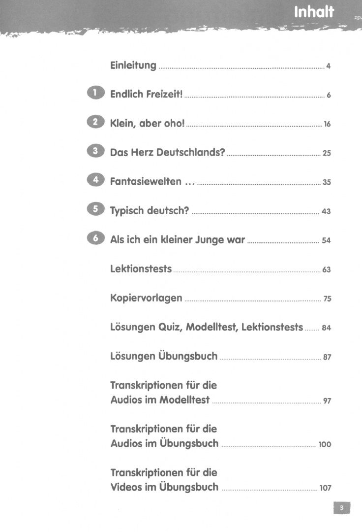 Jocelyne Maccarini: Fantastisch! B1. Deutsch fur Jugendliche. Lehrerhandbuch mit MP3-CD und DVD-ROM