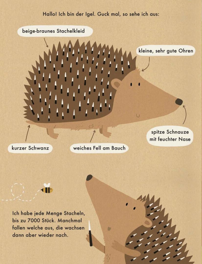 Katrin Wiehle: Ich bin der Igel