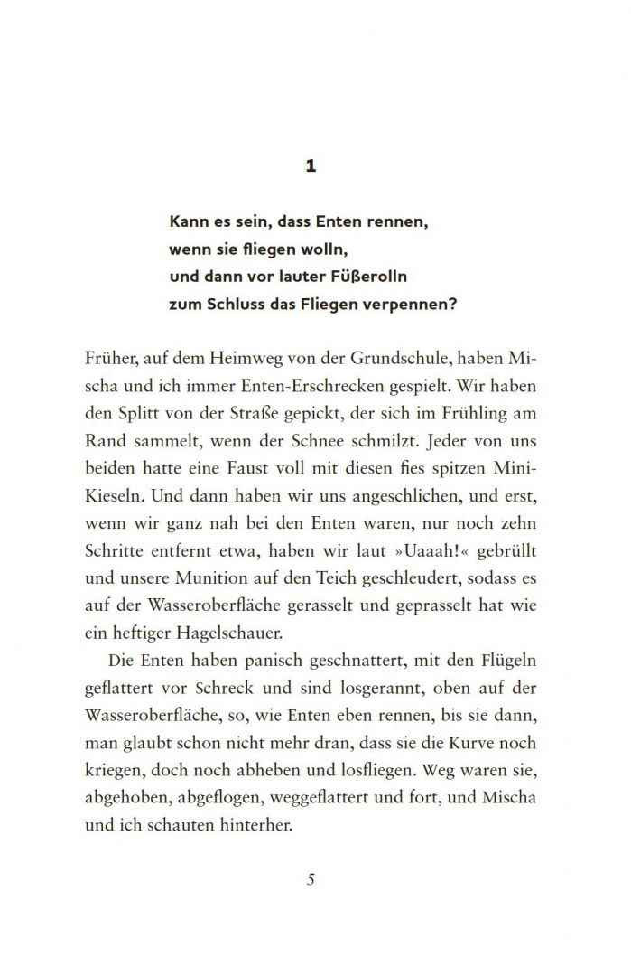 Stefanie Hofler: Feuerwanzen lügen nicht