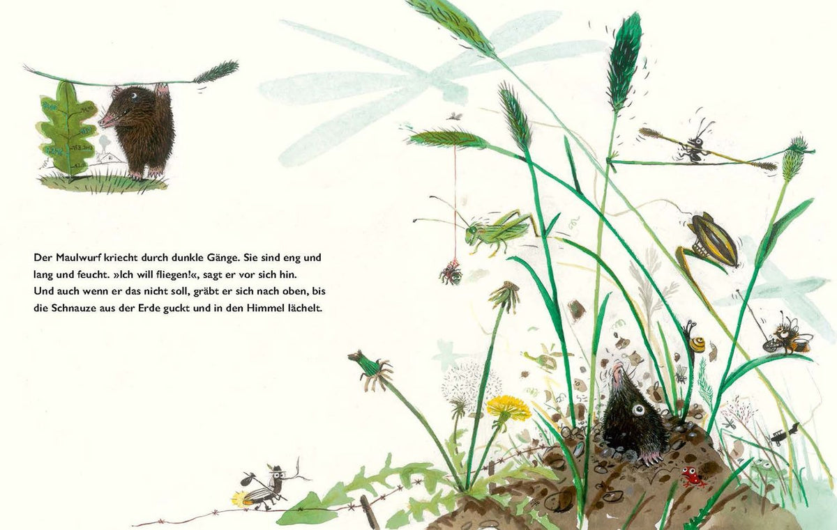 Oliver Scherz: Der kleine Erdvogel
